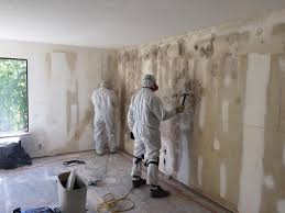 Best Real Estate Mold Inspection in Vista Santa Rosa, CA